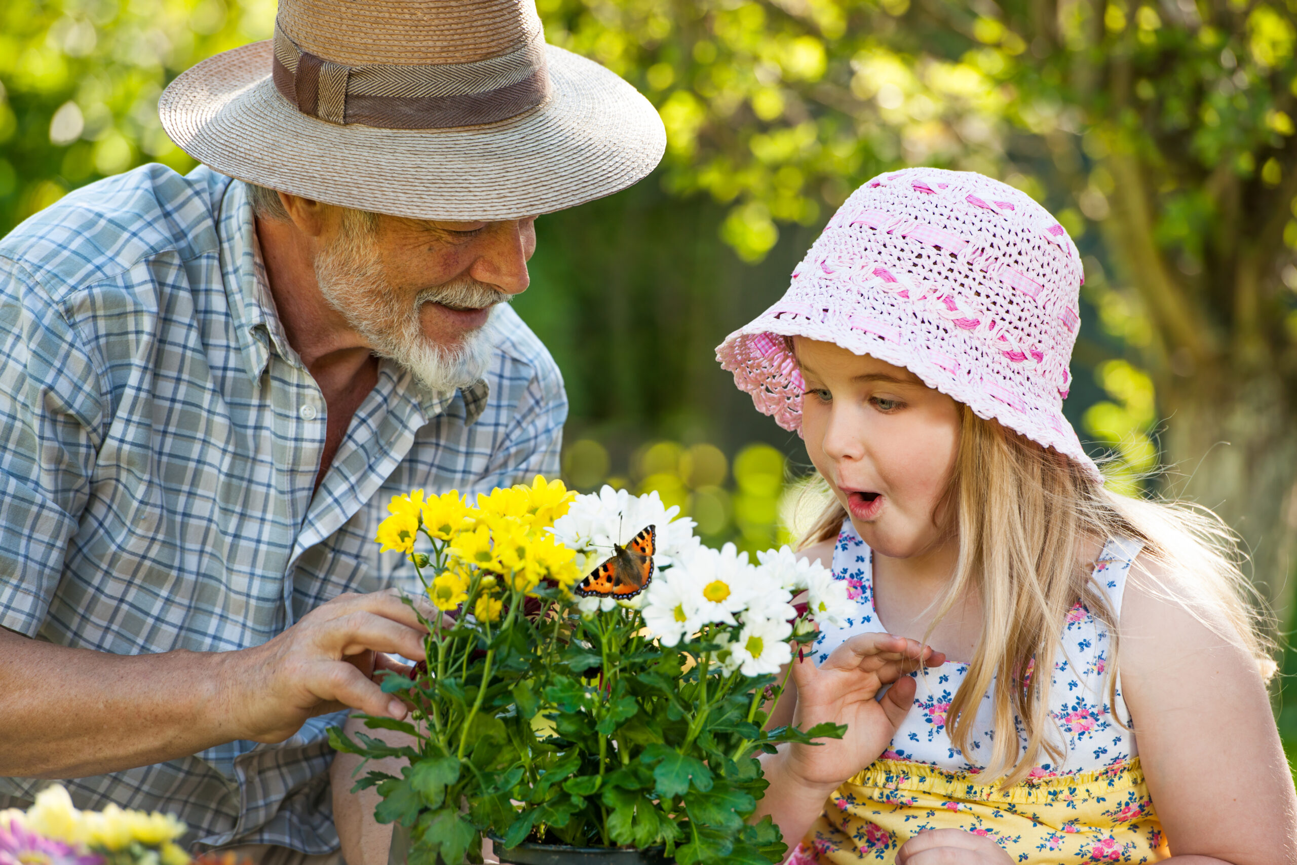 Grandfather and granddaughter enjoying gardening